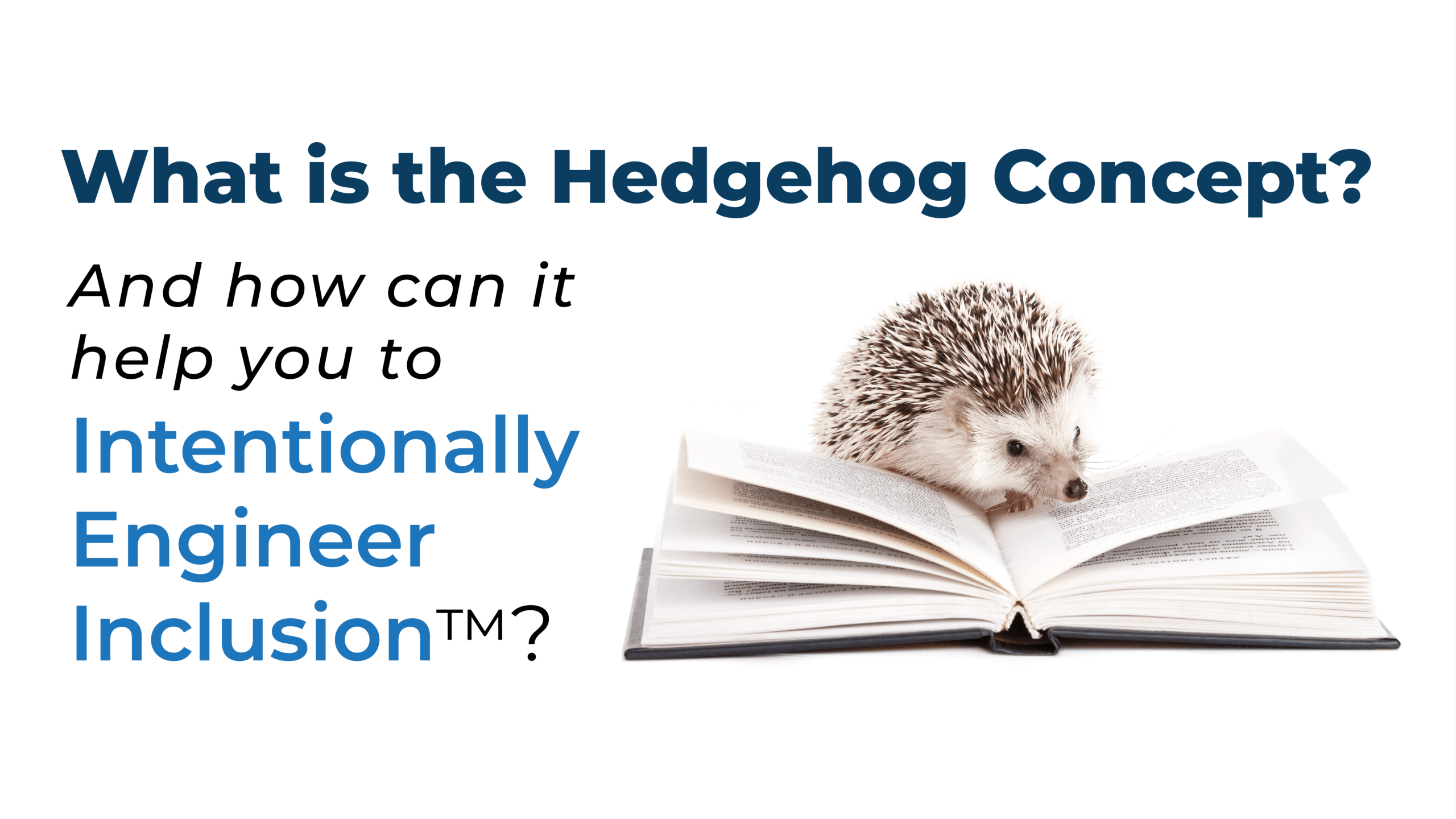 what is the hedgehog concept featured image