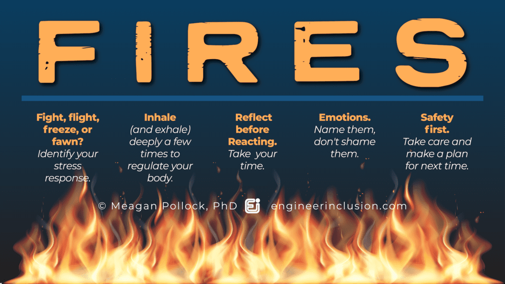 FIRES acronym by Meagan Pollock, Engineer Inclusion