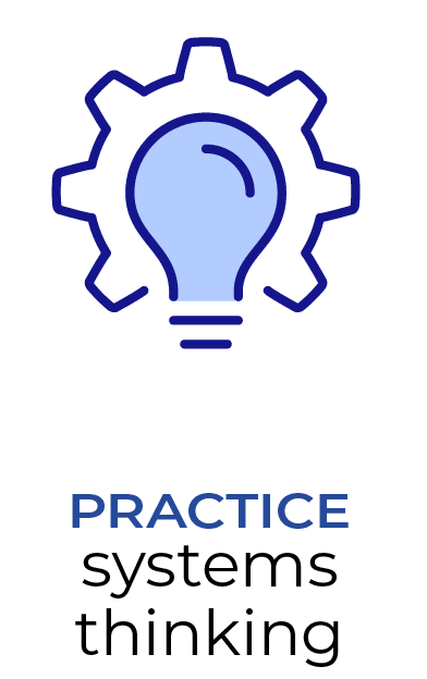 practice systems thinking