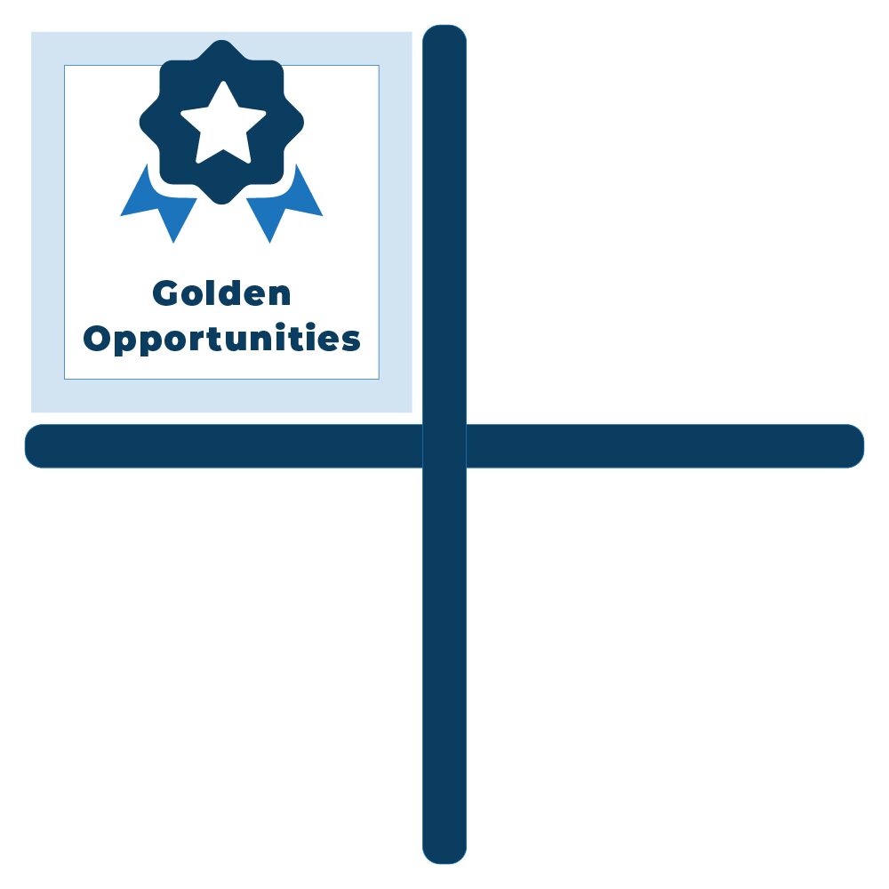 golden opportunities matrix